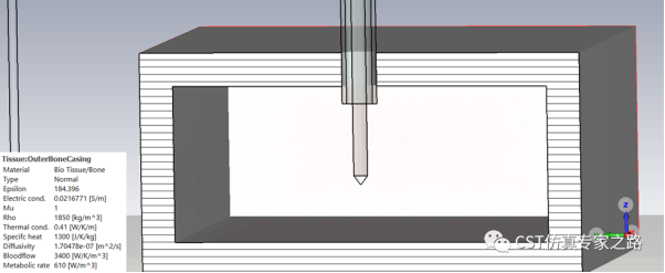 cst仿真案例：射频消融术 rfa --- 生物材料，单向多物理耦合，电磁加热